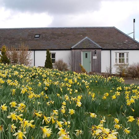 Dalnoid Cottages & Treehouses Nr Glenshee Bagian luar foto