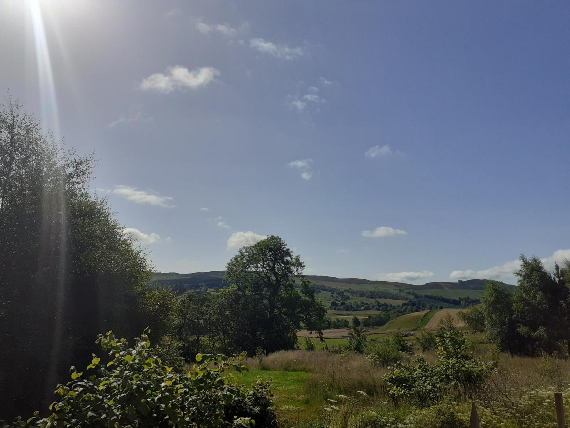 Dalnoid Cottages & Treehouses Nr Glenshee Bagian luar foto