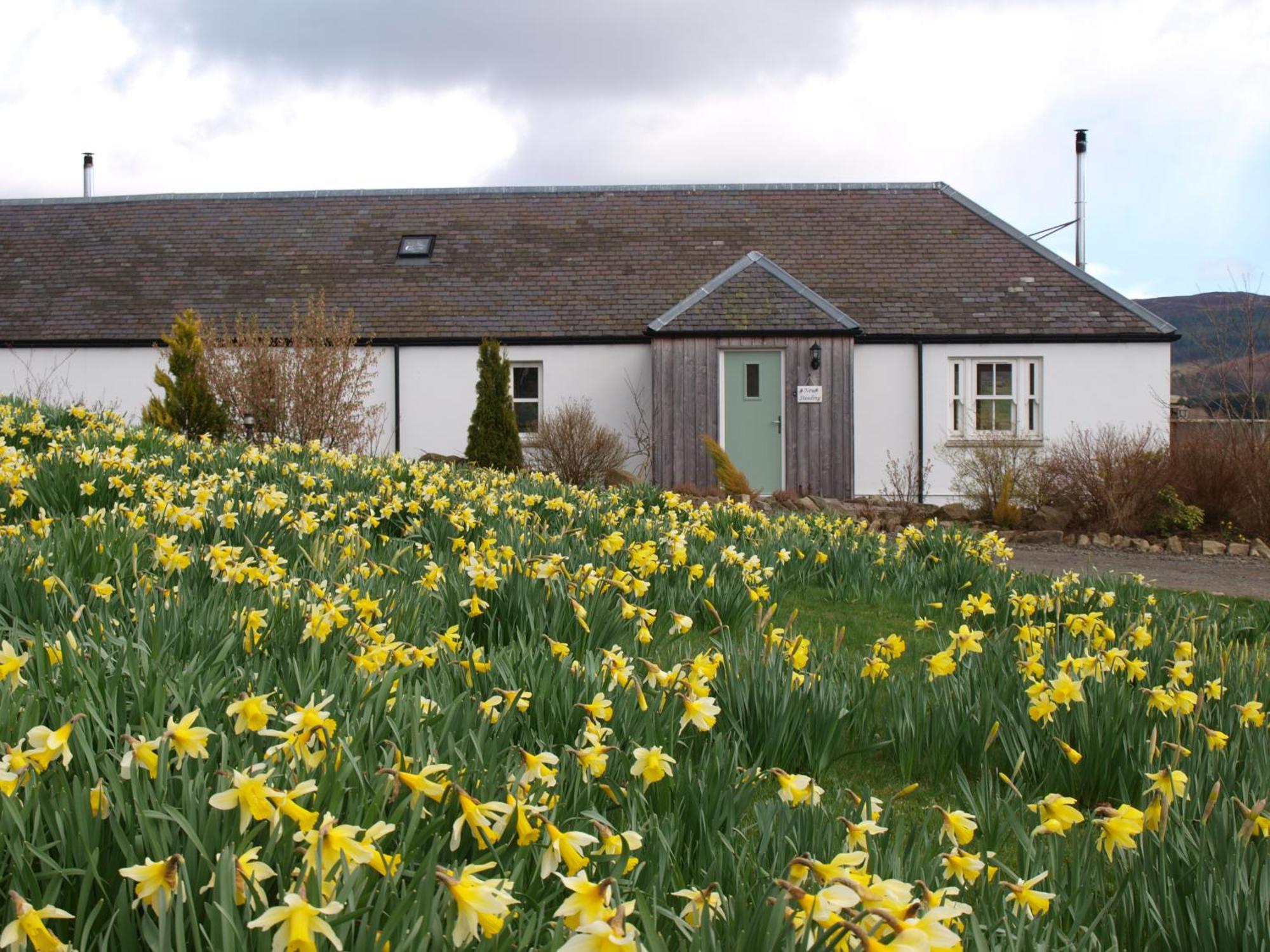 Dalnoid Cottages & Treehouses Nr Glenshee Bagian luar foto