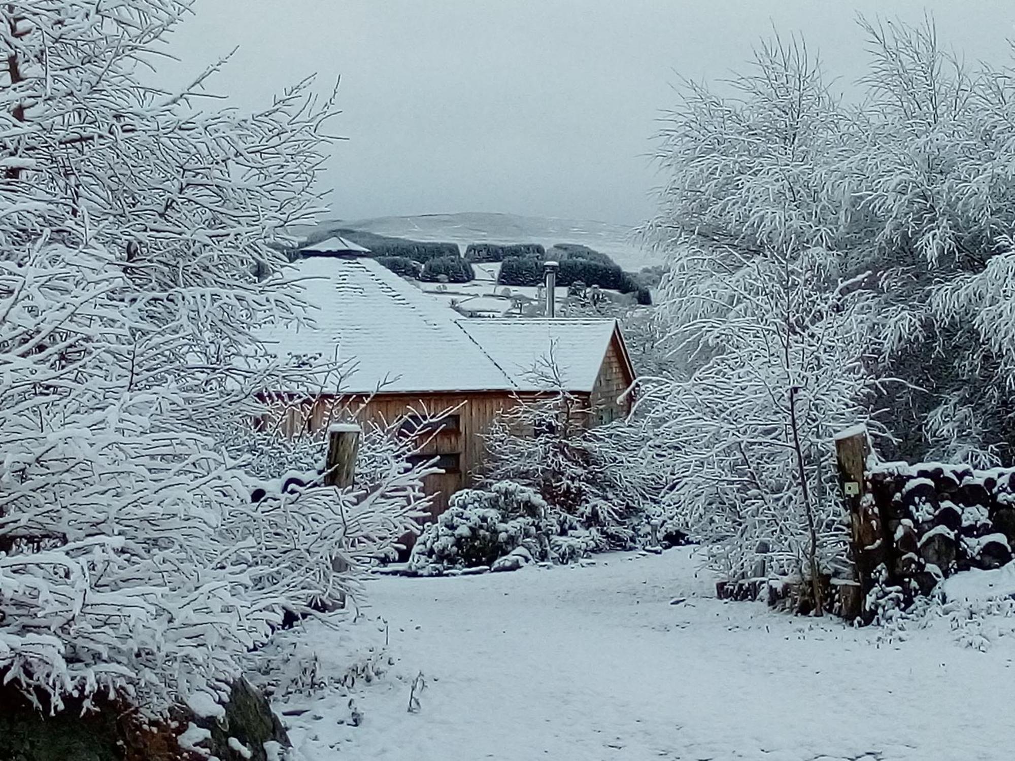 Dalnoid Cottages & Treehouses Nr Glenshee Bagian luar foto